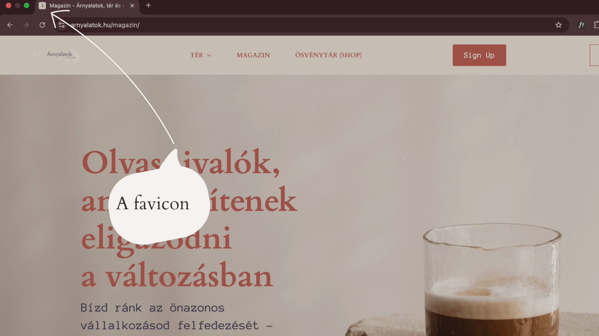 A favicon: az apró részlet, ami feltűnően hiányzik, ha nincs